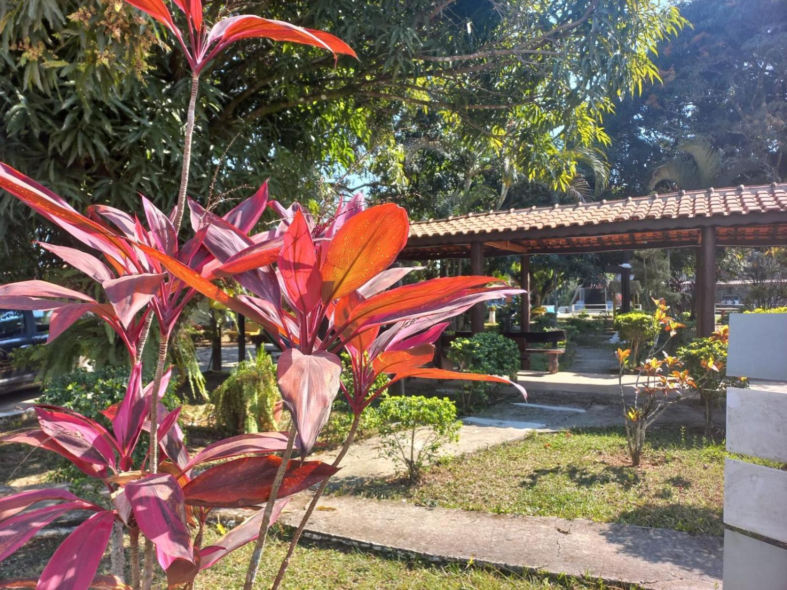 Comunidade Anuncia-Me กวาราชินเกตา ภายนอก รูปภาพ